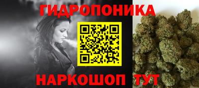 амф Новозыбков