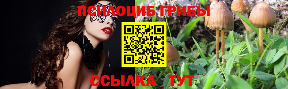 Славянск-на-Кубани  дарнет шоп  Вход с VPN  Галлюциногенные грибы прущие грибы 